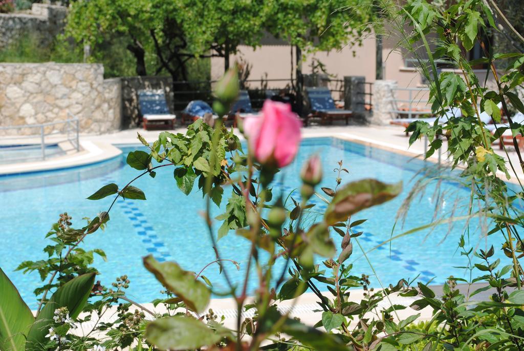 Kleo Cottages Kalkan Værelse billede
