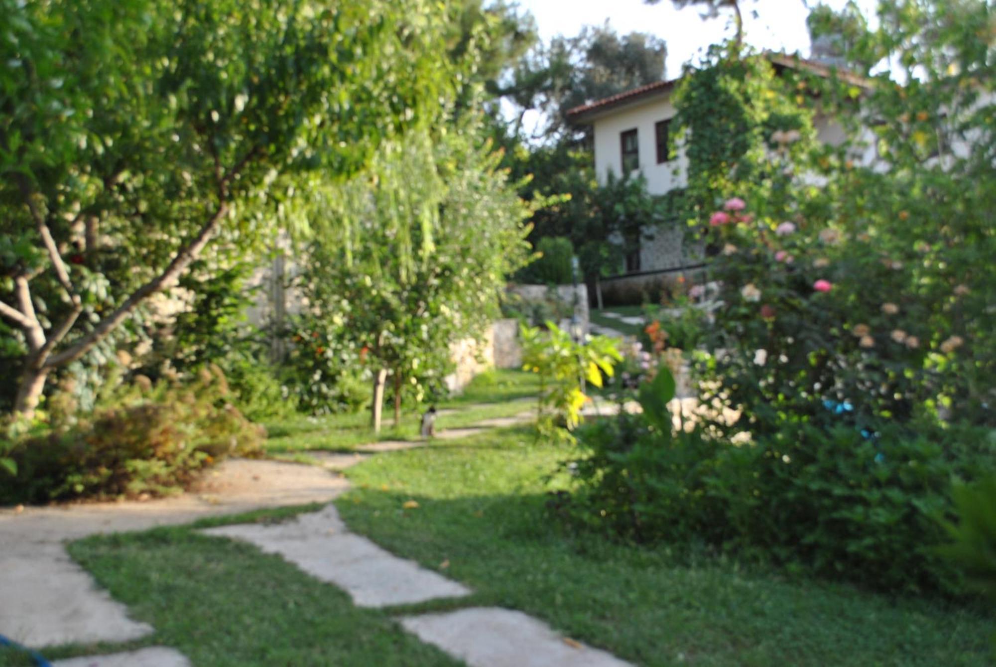 Kleo Cottages Kalkan Eksteriør billede