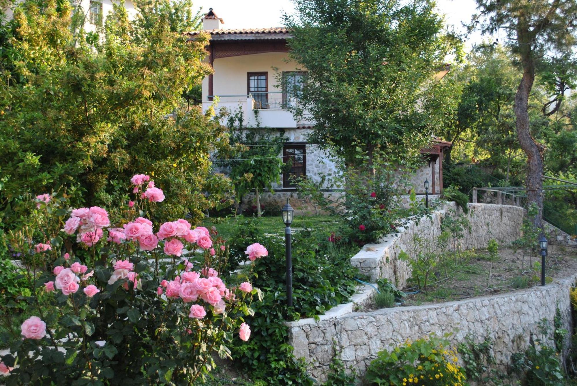 Kleo Cottages Kalkan Eksteriør billede