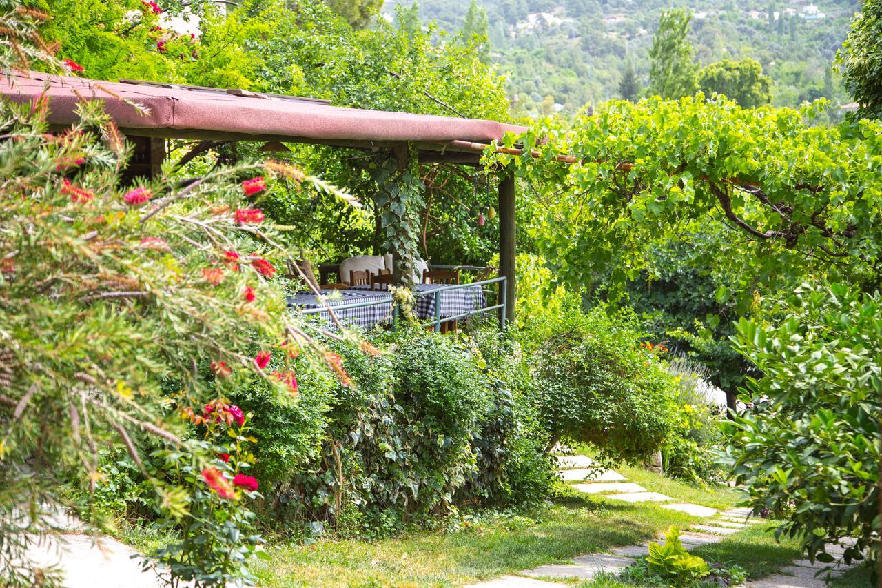 Kleo Cottages Kalkan Eksteriør billede